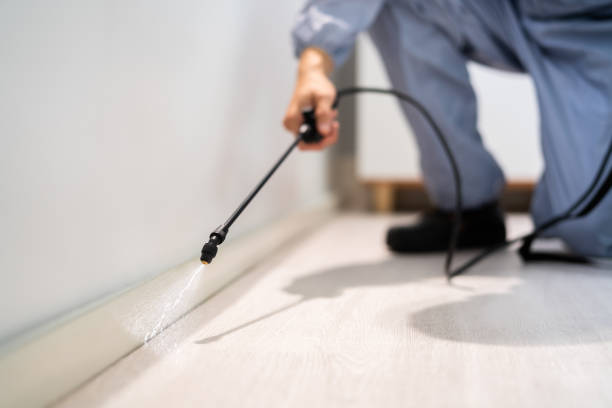 Licensed Pest Control service in Wytheville, VA - Show Me Pest Control