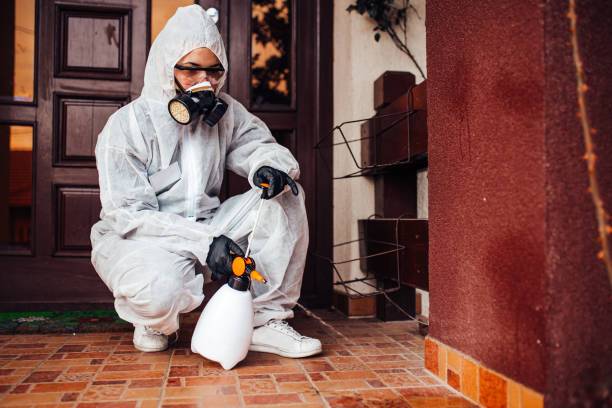 Reliable Wasp Removal contractor in Wytheville, VA by Show Me Pest Control