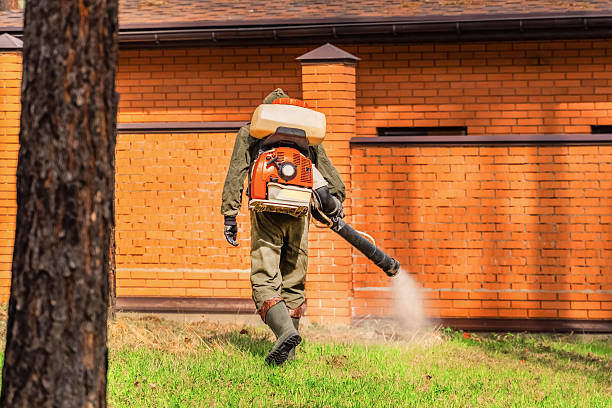 Top rated local Wasp Removal specialists in Wytheville, VA